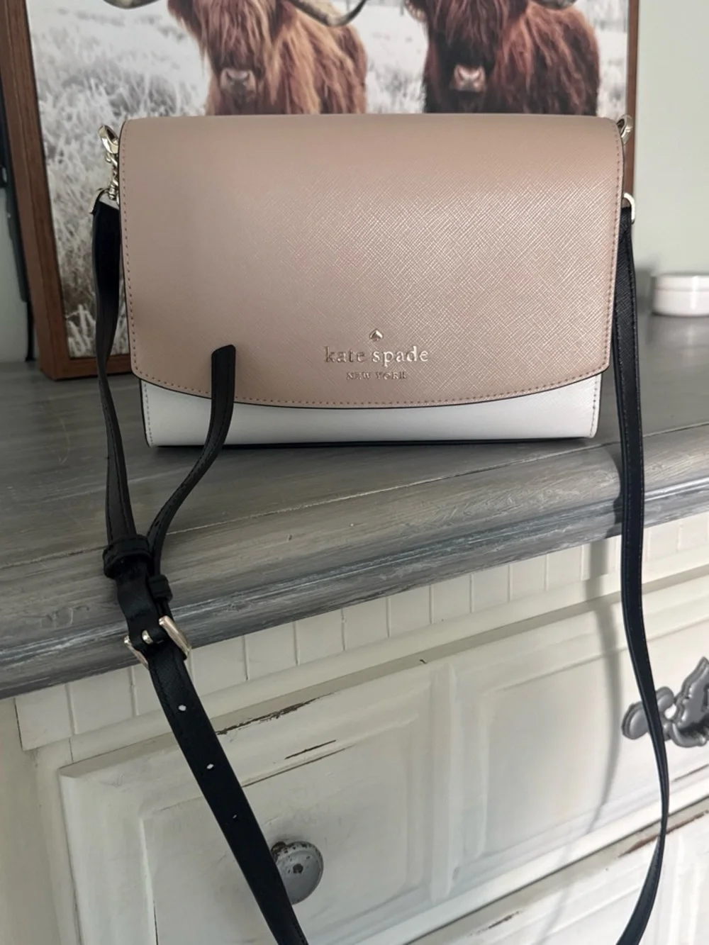 kate spade Two-Tone Crossbody in Blush Pink and White with Black Strap